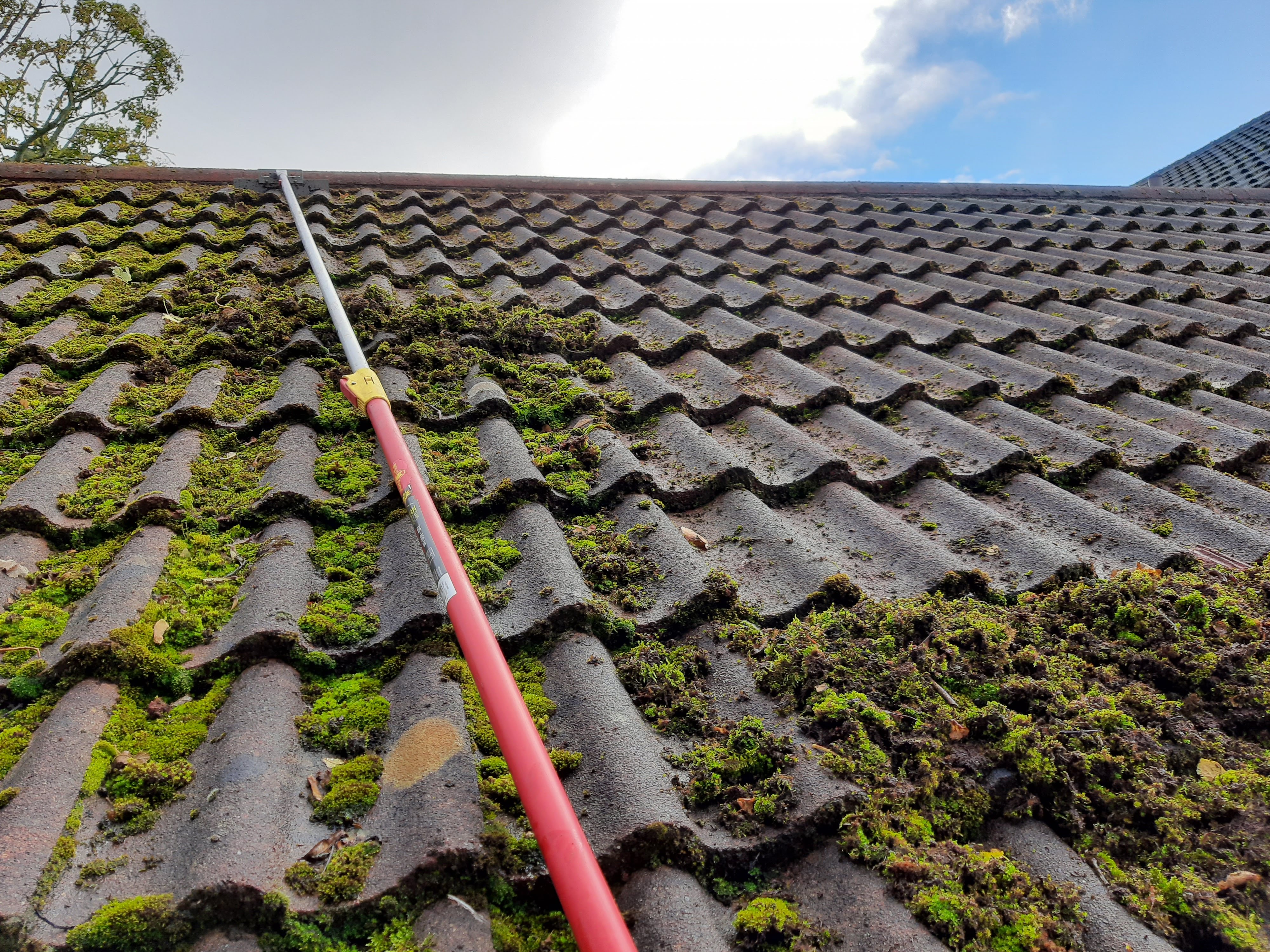 Roof cleaning on sale near me